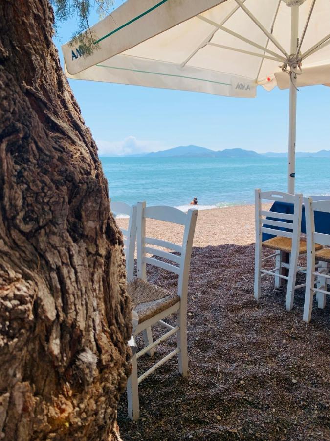 ,,sea Breeze,, - By The Sea Nea Anchialos